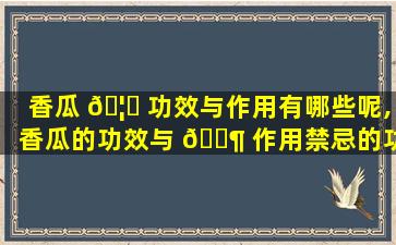 香瓜 🦄 功效与作用有哪些呢,香瓜的功效与 🐶 作用禁忌的功效与作用